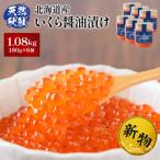 ふるさと納税 羽幌町 ★2025年新物★ 北海道産 天然秋鮭 いくら醤油漬け1.08kg(180g×6)【0216101】