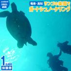 高知 竜串 シュノーケリング 体験券 1名分