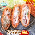 ゴロっとイカメンチ 60g×100個