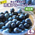 fu.... налог Satsuma река внутри город [ есть перевод ] рефрижератор голубика 4kg BS-049