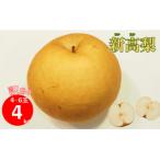 ふるさと納税 佐川町 ≪訳あり品(変形 キズあり)≫　新高梨 4〜6玉 (約 4kg)