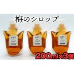 臼杵産の梅を使用したシロップ 計600g