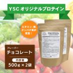 YSCホエイプロテインパウダー チョコレート風味 500g×2袋
