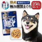 無添加 犬用 おやつ 鰹犬 焼津産燻製まぐろキューブ5袋