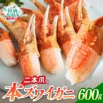 カニ 本ズワイガニ二本爪 600g