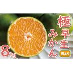 先行受付 訳あり 極早生 温州みかん 8kg