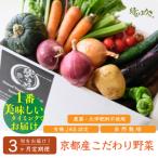 <3か月定期便> 京都産こだわりの野菜セット
