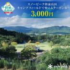 ショッピングふるさと納税 スノーピーク ふるさと納税 陸前高田市 スノーピーク陸前高田キャンプフィールドで使えるクーポンチケット(3,000円相当)