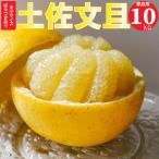 土佐文旦