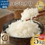 令和7年産 新米 コシヒカリ精米5kg 1袋