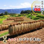 自慢のはぜかけ米5キロ*365