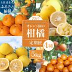 ふるさと納税 土佐清水市 【令和8年発 訳あり】柑橘4種(ぽんかん・文旦・タンカン・小夏)各5kg 4回定期便【J00100】