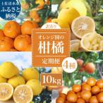 柑橘4種 ぽんかん 文旦 タンカン 小夏 各10kg
