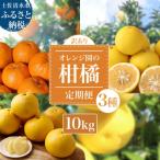柑橘3種 ぽんかん 文旦 小夏 各10kg