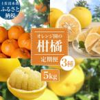 オレンジ園の柑橘3種 ぽんかん 文旦 小夏 各5kg