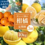 オレンジ園の柑橘3種 ぽんかん 文旦 小夏 各10kg