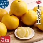 オレンジ園の土佐文旦5kg 柑橘 フルーツ