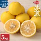 令和9年 谷川果樹園の小夏5kg 日向夏