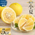 R8発送 先行受付 オレンジ園の小夏5kg