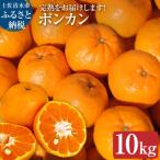 オレンジ園のぽんかん10kg デコポンの親