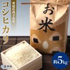 5kg
