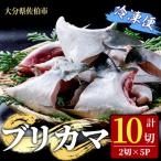 ブリカマ 計10切