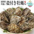 不揃い殻付き牡蠣 5kg