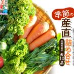 ふるさと納税 美郷町 季節の産直詰め合わせ 野菜 山菜 果物 フルーツ お菓子 漬物 など|01_mac-151401