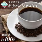 自家焙煎珈琲 キリマンジャロAA 珈琲豆 100g×1袋