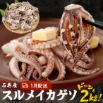 ふるさと納税 石巻市 訳あり 石巻産スルメイカゲソ 2kg 1月配送 冷凍 国産 いか 下足 おつまみ ゲソ天 石巻市