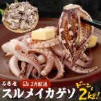 ふるさと納税 石巻市 訳あり 石巻産スルメイカゲソ 2kg 2月配送 冷凍 国産 いか 下足 おつまみ ゲソ天 石巻市