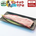 天然ビンチョウマグロ トロ 約600g