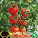 <約1.2kg×3回定期便>訳あり