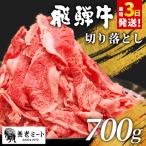 ふるさと納税 東白川村 飛騨牛 切り落とし 700g 訳あり 牛肉 養老ミート