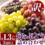 ふるさと納税 霧島市 訳あり!シャインマスカット入り旬のぶどう・ご家庭用詰め合わせ 3房以上【二月田ぶどう園】A0-248