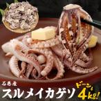 ふるさと納税 石巻市 訳あり 石巻産スルメイカゲソ 4kg 冷凍 国産 いか 下足 おつまみ ゲソ天 石巻市