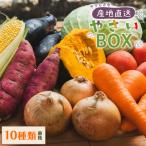 野菜セット 野菜 野菜詰め合わせ 10種類前後