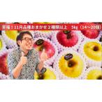 米崎りんご ぎゅっとセット 5kg