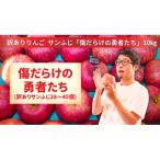 ショッピングふるさと納税 訳あり 傷 ふるさと納税 陸前高田市 先行受付【訳あり品】傷だらけの勇者たち サンふじ 10kg りんご フルーツ 旬