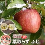 葉取らずふじ