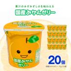 ふるさと納税 小牧市 愛知ヨーク 国産みかんゼリー 20個入[108A03]