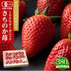 桐箱入り高級 とくしまオーガニックいちご