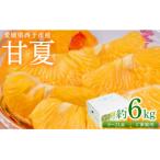 ふるさと納税 西予市 <愛媛県西予市産 甘夏 ご家庭用 約6kg> 訳あり S〜2Lサイズ混合 果物 くだもの フルーツ