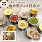 お手製 アイスクリーム ラクトアイス 詰め合わせ 100ml×10…