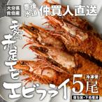 天然 赤足 エビ エビフライ 5尾