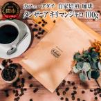タンザニア キリマンジャロ 100g