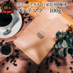 グァテマラ 100g