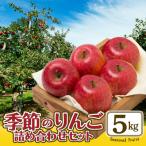 R8年産 秋田 りんご 秋田紅あかり 5kg