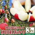 期間 R8年産 秋田紅あかり 3kg