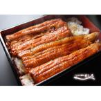 幻のブランド鰻 共水うなぎのかば焼き 1串 約115g